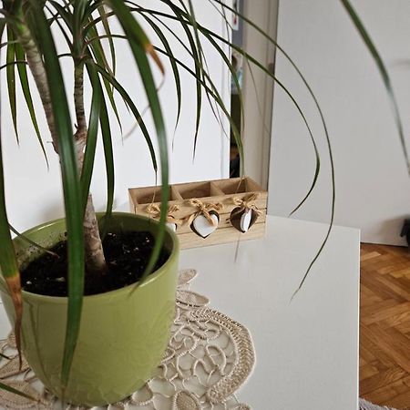 Cosy Apartment In The Heart Of Скопие Екстериор снимка